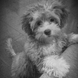 Meet your Posher, Anita